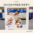 롯데마트 고양점 수족관(펫코리아7) | 2024 관상어 박람회 박람회 첫 날 방문 후기 l 총평, 일정, 입장료, 사전예약, 주차, 수유실