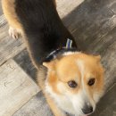 북면스테이 이미지