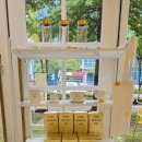 골드피그 이미지