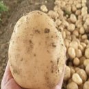 황토 농장 이미지