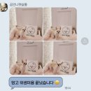 공언니펫살롱 이미지