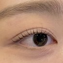 어바웃스테이 신사점 | 신사역 속눈썹펌 연장 잘하는곳 어바웃라인 방문 후기
