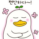 송도 24시 오케이동물병원 이미지