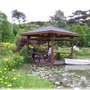 파인트리펜션 이미지