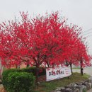 도진리마을회관 이미지