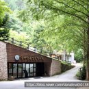 남원생태관광숙박시설 | 계룡산생태탐방공원 공주 가성비 숙소 아이와가볼만...숙박요금 3만원 리모델링 후 시설·주차장·주변...