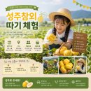 성밖숲 관광안내소 | 아이랑 가기 좋은 축제, 성주참외&amp;생명문화축제