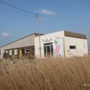 수상한 소금밭 민박 이미지