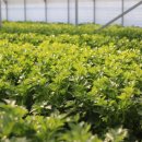 덕성농장 이미지