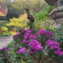 천안우체국 이미지