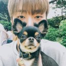 논공카