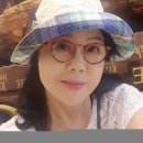 청풍 호반 케이블카 외 2편 이미지