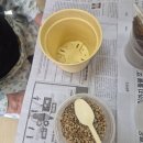 인천제2시립노인치매요양병원 | 26년 1월 2일 계양구 소재 인천제2시립치매요양병원 "카랑코에" 원예수업