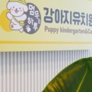 멈무는하루 이미지