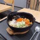 국수나무 이미지