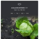 이프몰 이미지