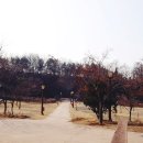 덕포진누리마을캠핑장 이미지