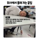 헤헤
