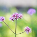 신한디앤엘 이미지