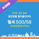 시티공인중개사사무소 이미지