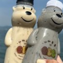 자매콩물