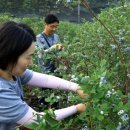 현덕농장 이미지