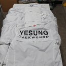 THE해온태권도 이미지