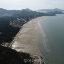 임자환경