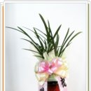 하단동019 이미지