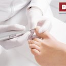 주식회사 페디네 이미지