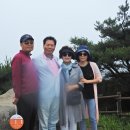 비슬산에서 도동서원으로
