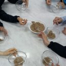 성지여자중학교 이미지