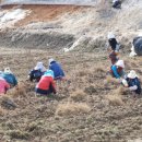 나온 태양광발전소 이미지