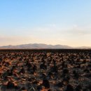 서당초등학교 이미지