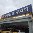 솔향공원 소나무전시관 | [보은가볼만한곳]솔향공원소나무홍보전시관_소나무를 관찰하는~