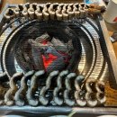 황금장어 이미지