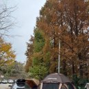 파주기산캠프 | 파주 기산캠프 솔직후기 🍂 단풍캠핑은 좋았지만 재방문은…
