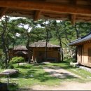 봉화황토테마파크 이미지