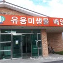 하늘아래 발효농장 이미지