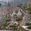 와우정사 이미지