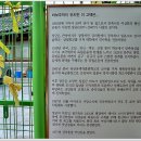 대구 약령시장 이미지