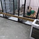 원케어메디텍 이미지