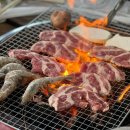 힐링캠프글램핑 이미지