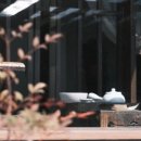 달뿌리집 이미지