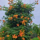 광명등기소 이미지