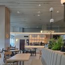 커피마마 안면도점 | 스타필드 리플로우 고양점: 혼자 노트북 하기 좋은 카페