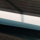 웰리스휘트니스 이미지