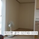 피터팬공인중개사사무소 이미지