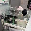 줄리오헤어 이미지