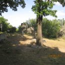 표교초교 이미지